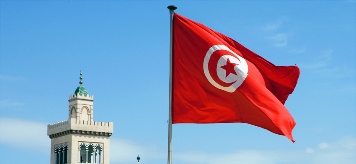 Tunisia flag with the city in the background.