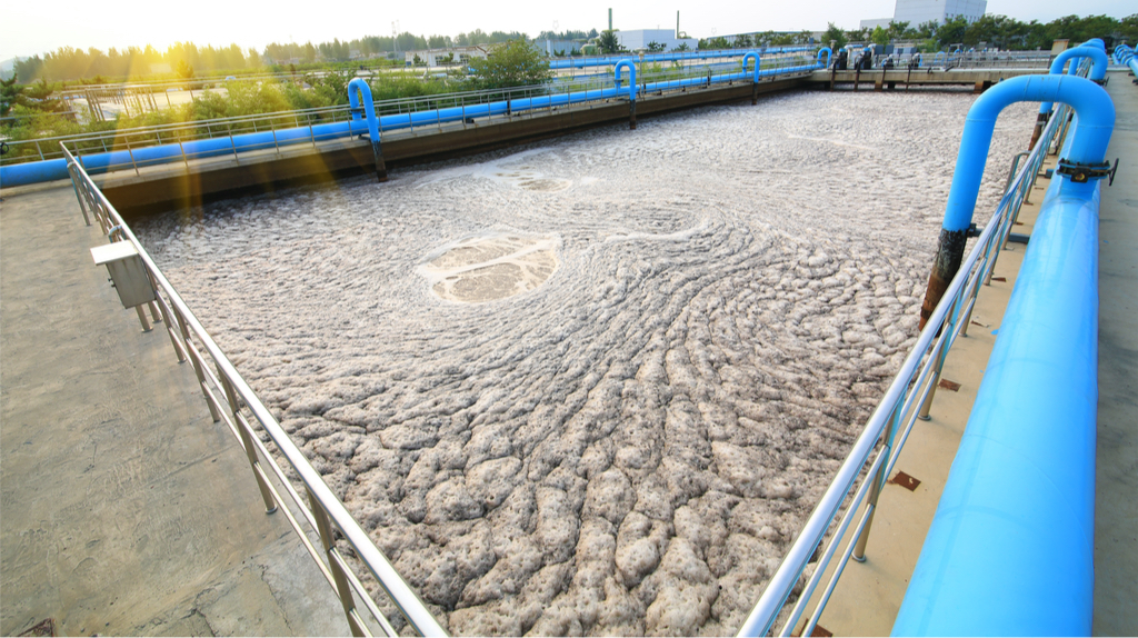 Sewage sludge in a wastewater treatment plant.