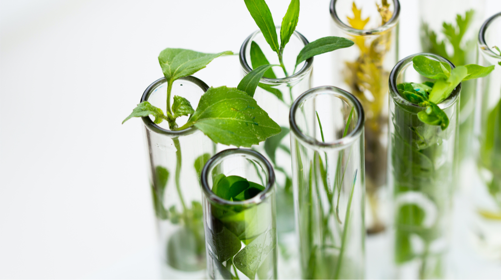 Test tube with plant samples.